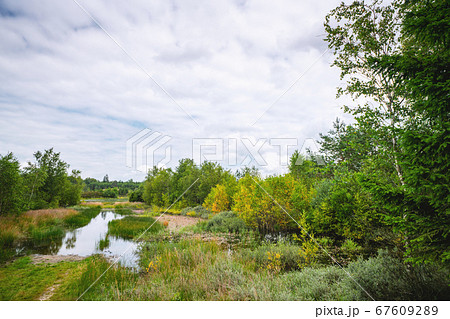 Flooded wilderness with colorful birch trees Flooded wilderness with colorful birch trees 67609289