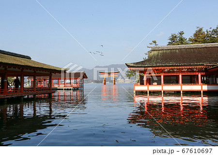 広島県 秋 廿日市市 宮島 厳島神社 広島県 秋 廿日市市 宮島 厳島神社 67610697