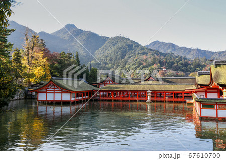 広島県 秋 廿日市市 宮島 厳島神社 広島県 秋 廿日市市 宮島 厳島神社 67610700