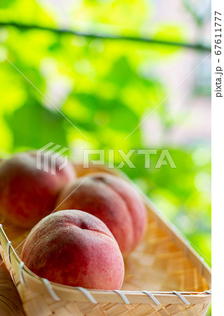 桃狩り 桃 桃狩り 桃 67611777