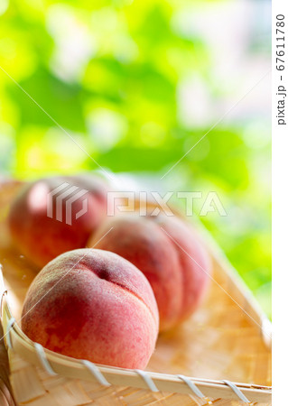 桃狩り 桃 桃狩り 桃 67611780