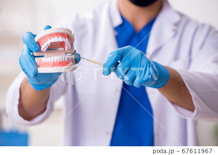 Young male dentist working in the clinic Young male dentist working in the clinic 67611967