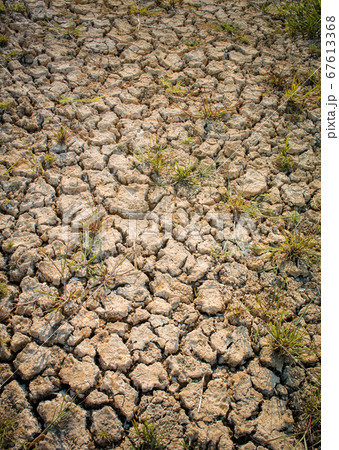 Cracked land background with grass, Drought 67613368