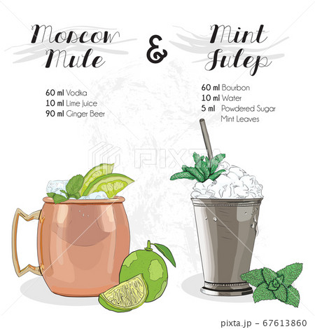 Hand Drawn Colorful Moscow Mule and Mint Julep Summer Cocktail Drink Ingredients Recipe Hand Drawn Colorful Moscow Mule and Mint Julep Summer Cocktail Drink Ingredients Recipe 67613860