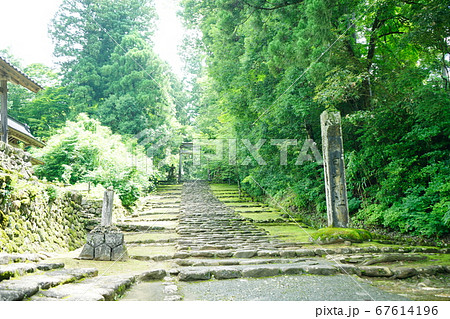 平泉寺白山神社 苔寺 初夏 精進坂 平泉寺白山神社 苔寺 初夏 精進坂 67614196