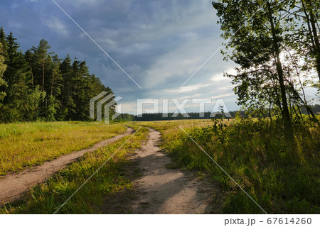 Forest landscape with a country road along the field. Forest landscape with a country road along the field. 67614260