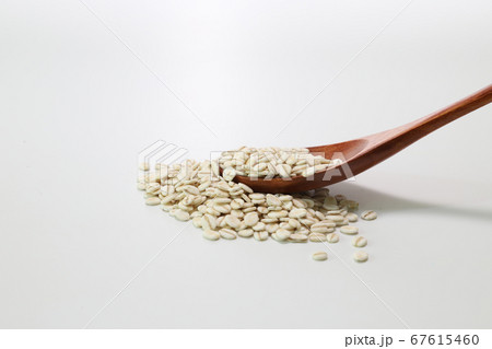 白バックの胚芽押麦 67615460