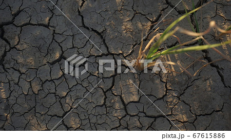 there is always hope there is always hope 67615886