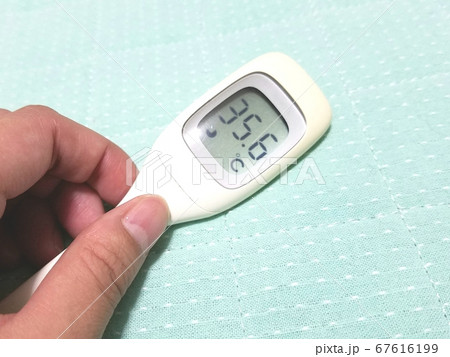 体温計 平熱低め 体温計 平熱低め 67616199