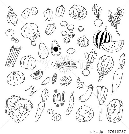 いろんな野菜の手描きイラストアイコン 線画 のイラスト素材