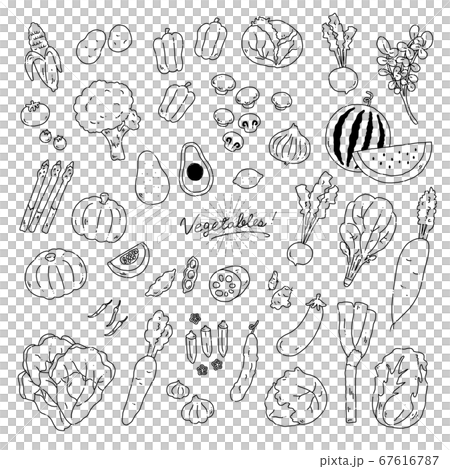 Hand-drawn illustration icon of various vegetables [Line drawing] 67616787