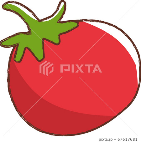 手描き風のトマト 67617681