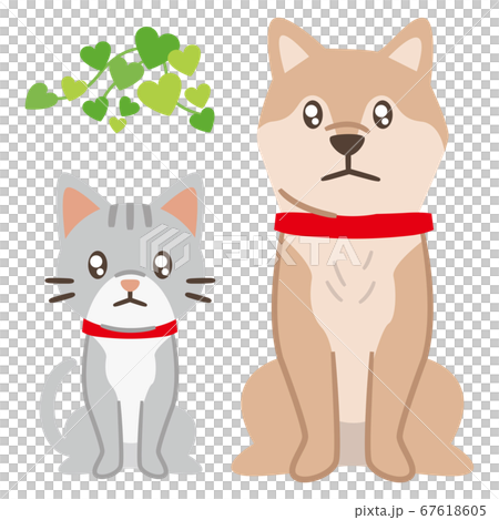 悲しい目で見つめる犬と猫 67618605