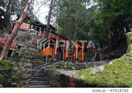神社に並んだ鳥居の写真・伏見稲荷大社 67618782
