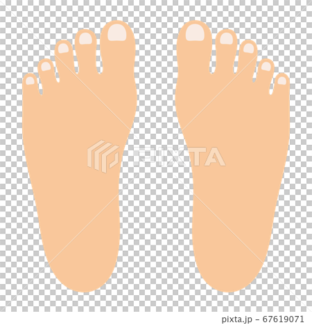 矢量圖的腳背（沒有主線） 67619071