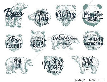 Bear animal sketches with lettering, hunting sport Bear animal sketches with lettering, hunting sport 67619086