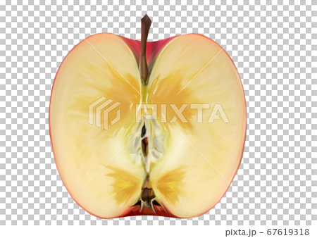 リンゴ 67619318