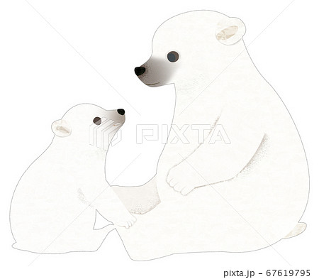 Polar Bear Parent And Child Stock Illustration