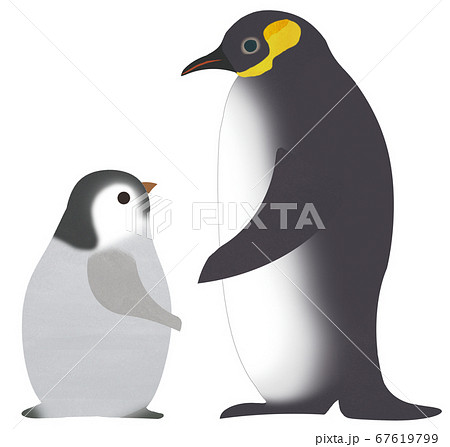 ペンギン親子のイラスト素材
