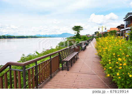 Wooden bench riverside walkway park with yellow 67619914