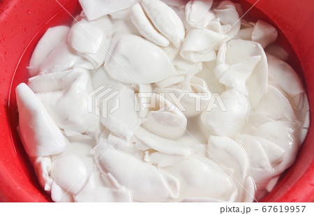 Coconut white for ice cream dessert and food or Coconut white for ice cream dessert and food or 67619957