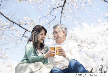 花見でビールを飲むミドル夫婦 花見でビールを飲むミドル夫婦 67620227