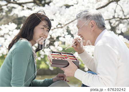 花見弁当を食べるミドル夫婦 67620242