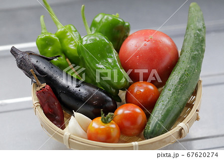 採れたて新鮮な定番の夏野菜 トマト きゅうり 茄子 ニンニク 唐辛子 ピーマン の写真素材