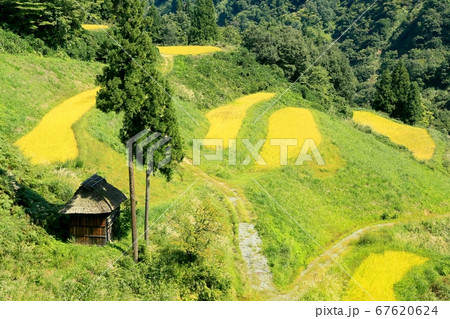 留守原の棚田 67620624