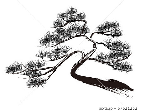 松の木の墨絵　ベクター 67621252