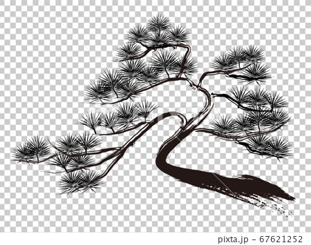 松の木の墨絵　ベクター 67621252