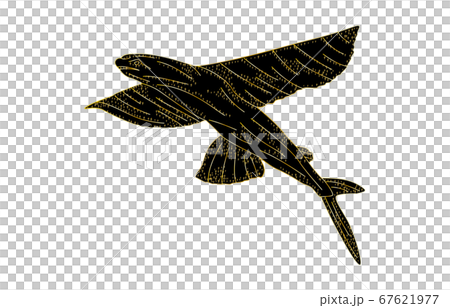 88星座影あり線なし黒とびうお座 88星座影あり線なし黒とびうお座 67621977