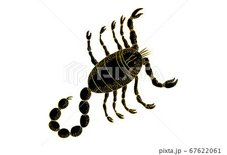 88星座影あり線なし黒さそり座 67622061