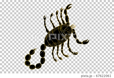 88星座影あり線なし黒さそり座 67622061