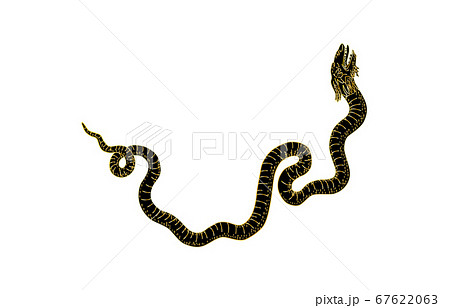 88星座影あり線なし黒へび座 67622063