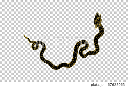 88星座影あり線なし黒へび座 67622063
