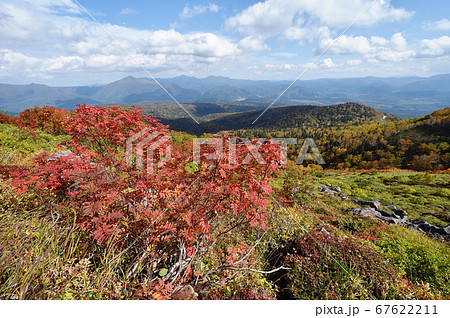 銀泉台の紅葉(北海道・上川町・大雪山系) 銀泉台の紅葉(北海道・上川町・大雪山系) 67622211