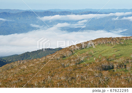 山の上から見た雲海(北海道) 山の上から見た雲海(北海道) 67622295