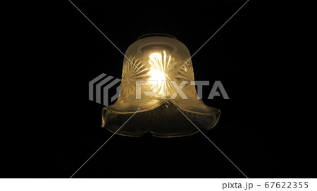 A Light in the Darkness A Light in the Darkness 67622355