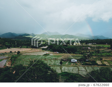 Rice fields in the evening after the rain Rice fields in the evening after the rain 67622660