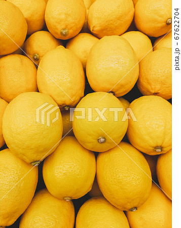 Organic Lemons In Supermarket.  67622704