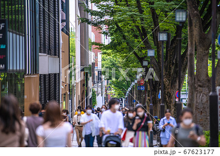 日本の東京都市景観 東京・表参道(マスク姿で溢れる並木道)=7月12日 日本の東京都市景観 東京・表参道(マスク姿で溢れる並木道)=7月12日 67623177