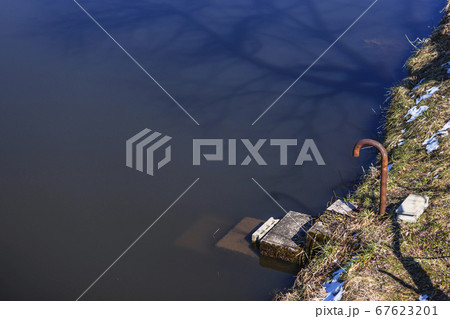 200325美女ヶ池M057 200325美女ヶ池M057 67623201