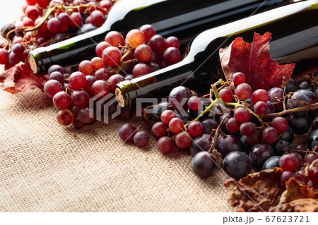 Red wine bottles and  grapes with dried up vine 67623721