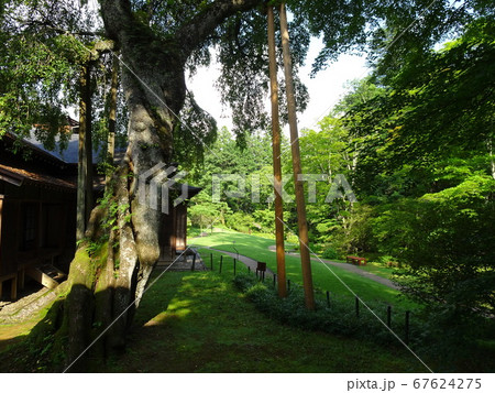 日光 田母沢御用邸 記念公園 日光 田母沢御用邸 記念公園 67624275