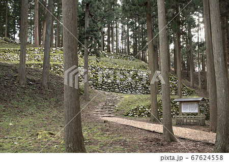 七尾城跡　桜馬場の石垣 67624558