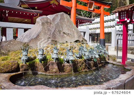 箱根 九頭龍神社新宮 九頭龍の口から流れる龍神水の写真素材 [67624604] - PIXTA