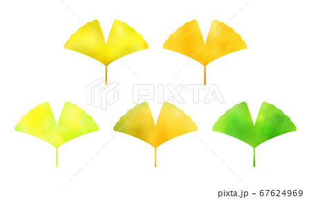 黄色と黄緑のイチョウの葉っぱのイラスト素材