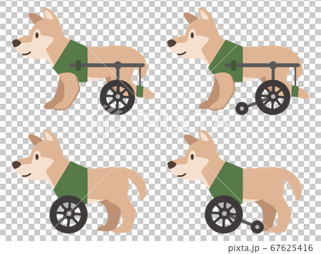 犬用車椅子 67625416