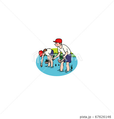 田植えの体験学習 田植えの体験学習 67626146